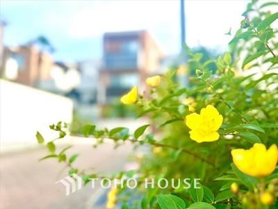 3LDK apartment in Setagaya Ward, Tokyo - Photo 1