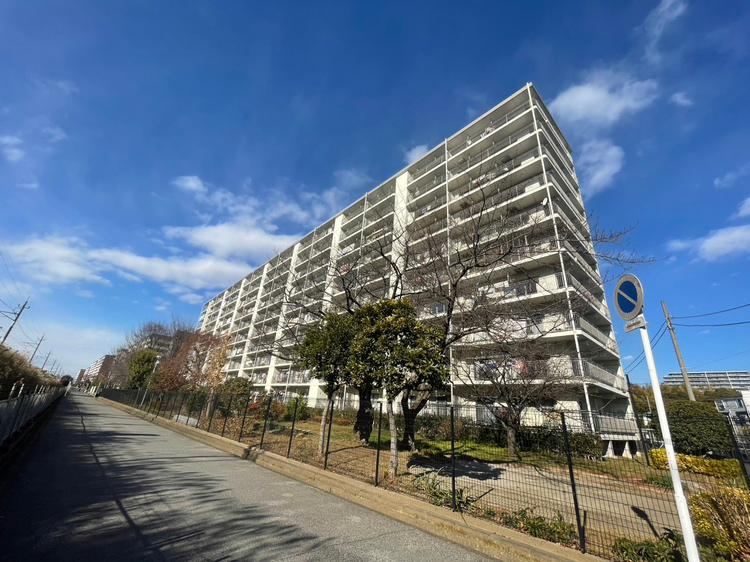 3LDK+S apartment in Matsudo, Chiba - Photo 1