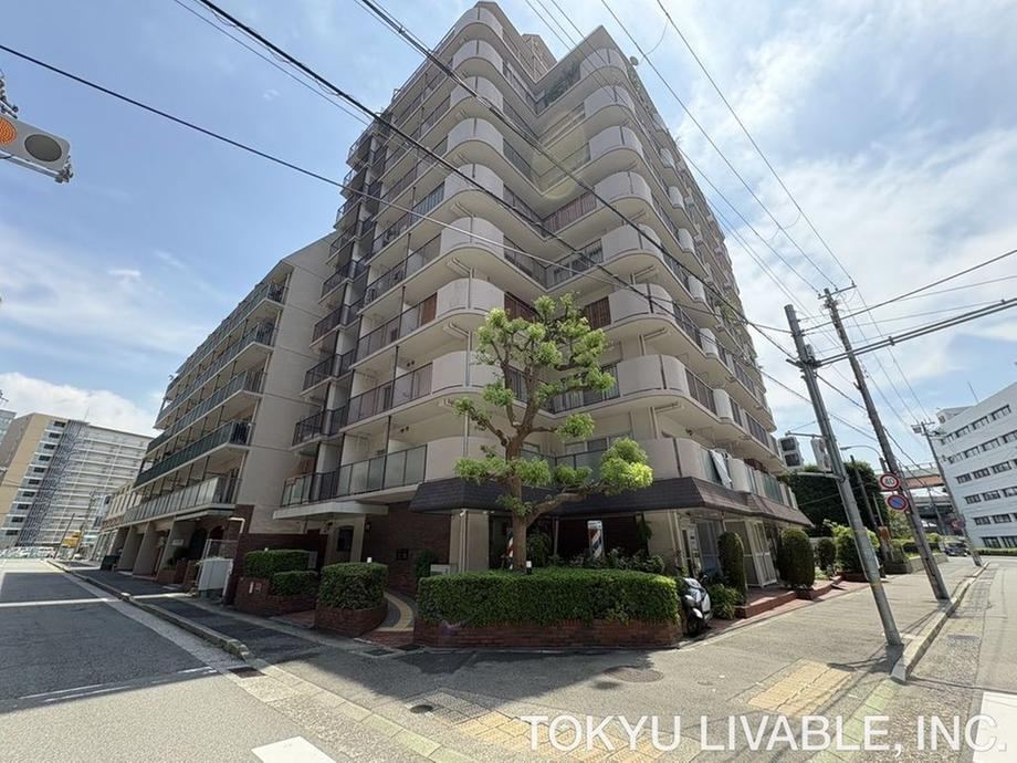 1LDK apartment in Chuo Ward, Kobe, Hyogo - Photo 1