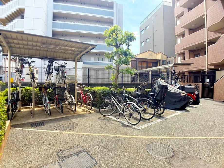 Thumbnail 5