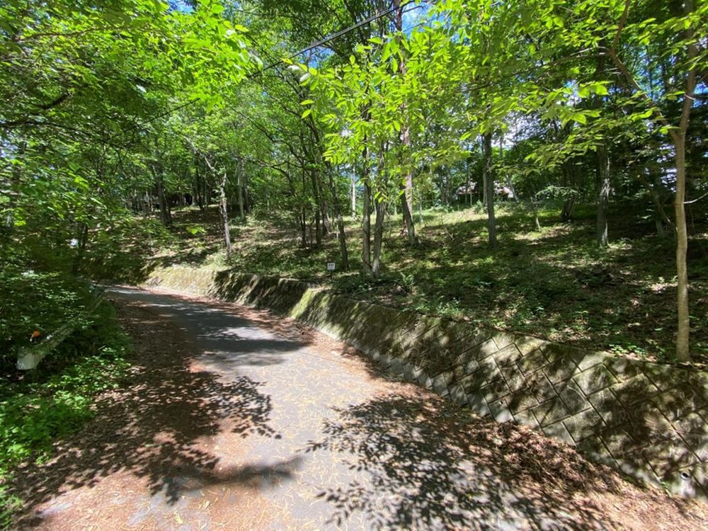 1107 m² land in Karuizawa, Kitasaku District, Nagano - Photo 1