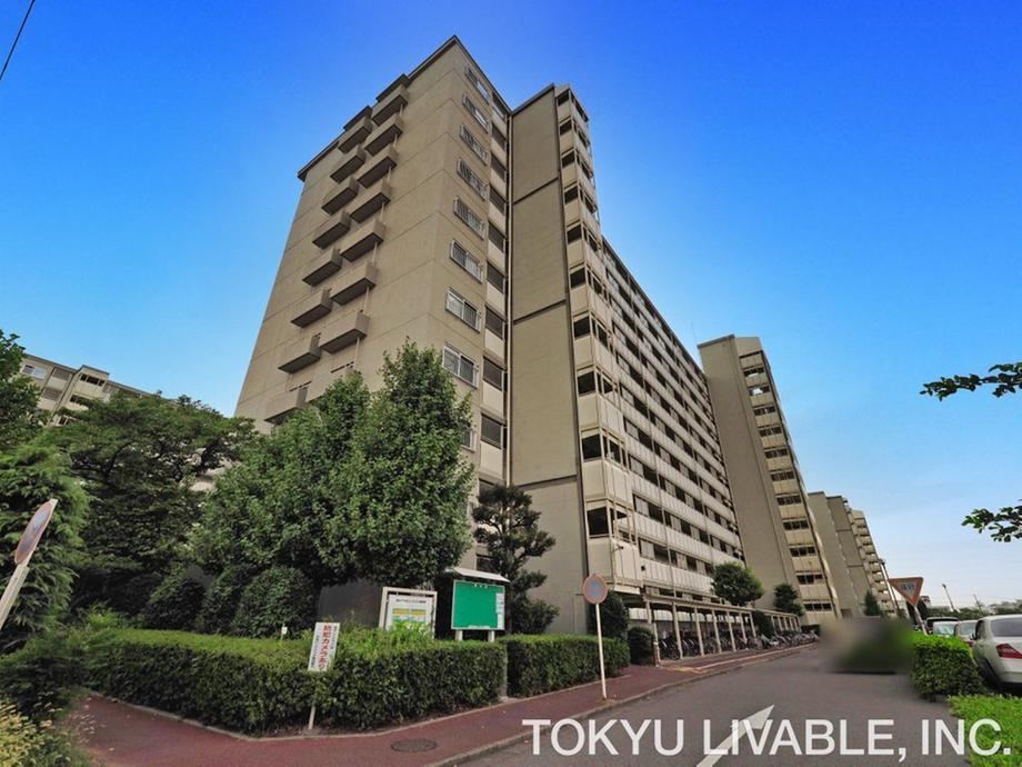 3LDK apartment in Matsudo, Chiba - Photo 1