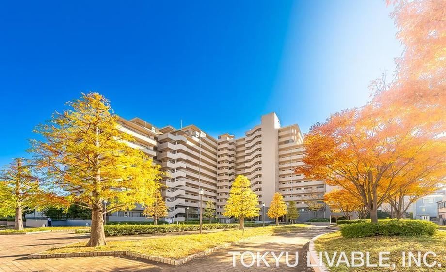 3LDK apartment in Kohoku Ward, Yokohama, Kanagawa - Photo 1