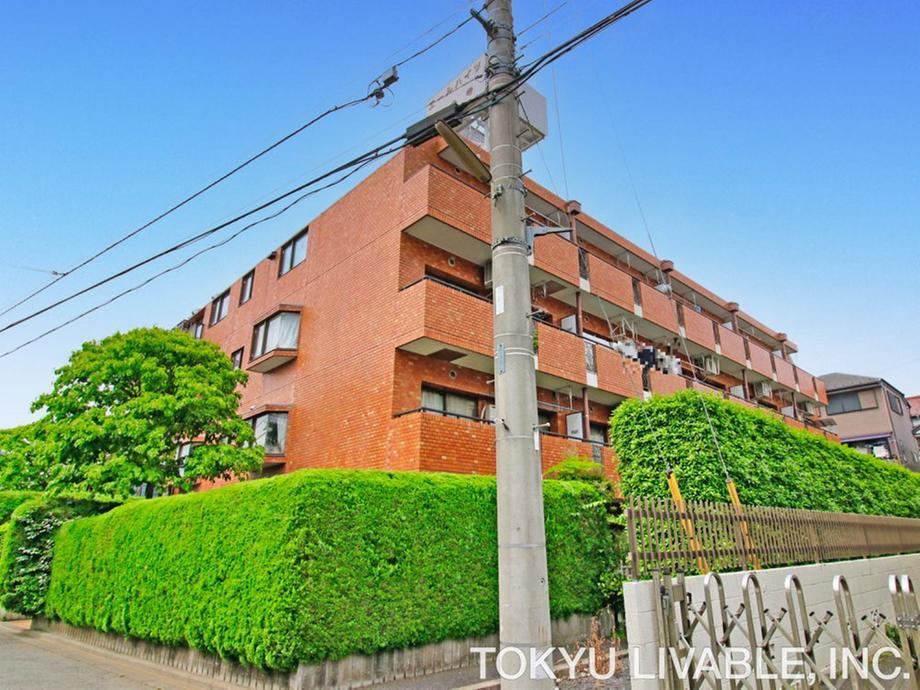 2LDK apartment in Kokubunji, Tokyo - Photo 1