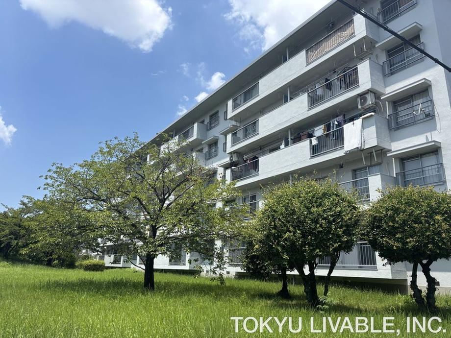 2LDK apartment in Kita Ward, Sakai, Osaka - Photo 1