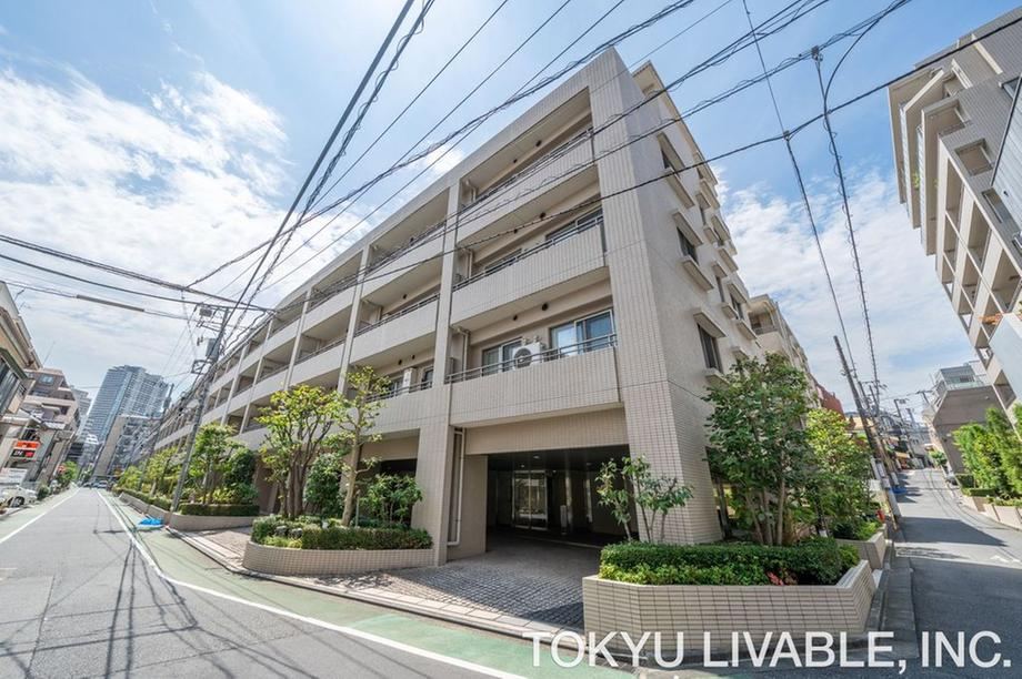 1LDK apartment in Bunkyo Ward, Tokyo - Photo 1