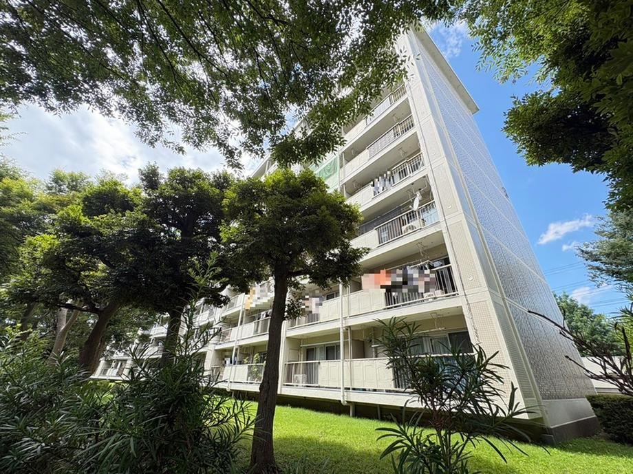 3LDK apartment in Matsudo, Chiba - Photo 1