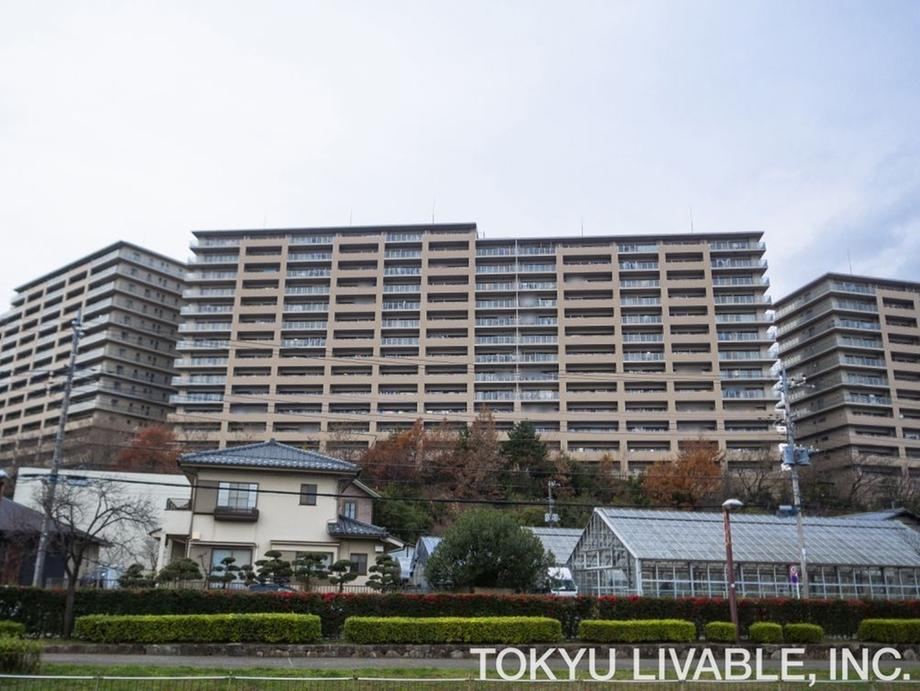 3LDK apartment in Hachioji, Tokyo - Photo 1