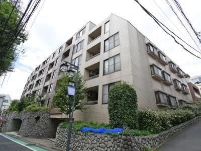 1LDK apartment in Shibuya Ward, Tokyo - Photo 1