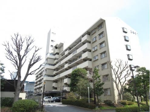 3LDK apartment in Edogawa Ward, Tokyo - Photo 1