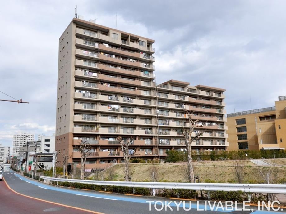3LDK apartment in Adachi Ward, Tokyo - Photo 1