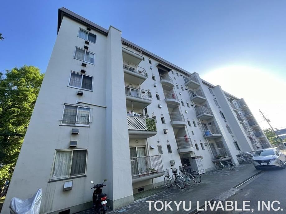 3LDK apartment in Narashino, Chiba - Photo 1