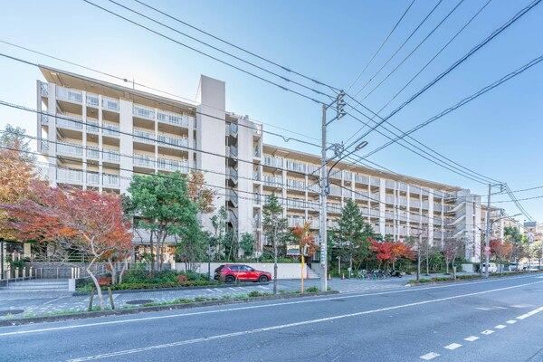 3LDK apartment in Kokubunji, Tokyo - Photo 1