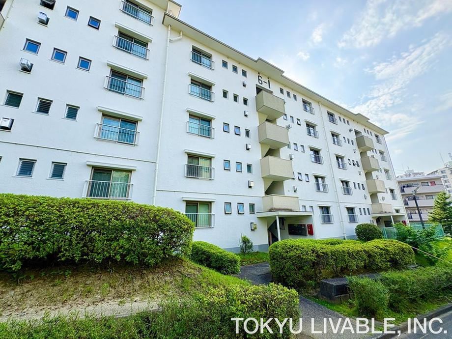3DK apartment in Aoba Ward, Yokohama, Kanagawa - Photo 1