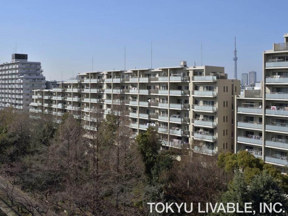 4LDK apartment in Koto Ward, Tokyo - Photo 1