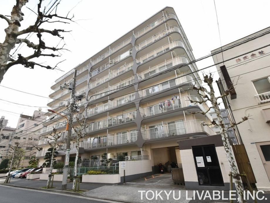 3LDK apartment in Sumida Ward, Tokyo - Photo 1