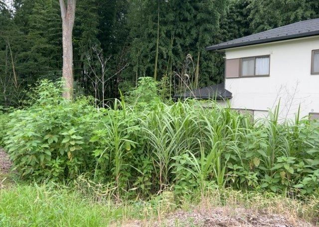 178 m² land in Midori Ward, Sagamihara, Kanagawa - Photo 1