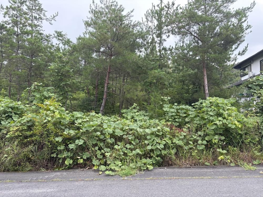 806 m² land in Kani, Gifu - Photo 1