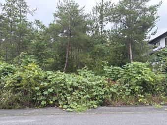 plot of land in Kani