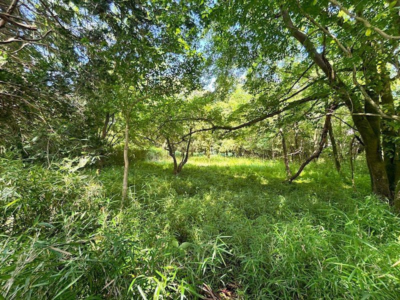 1323 m² land in Hakone, Ashigarashimo District, Kanagawa - Photo 1