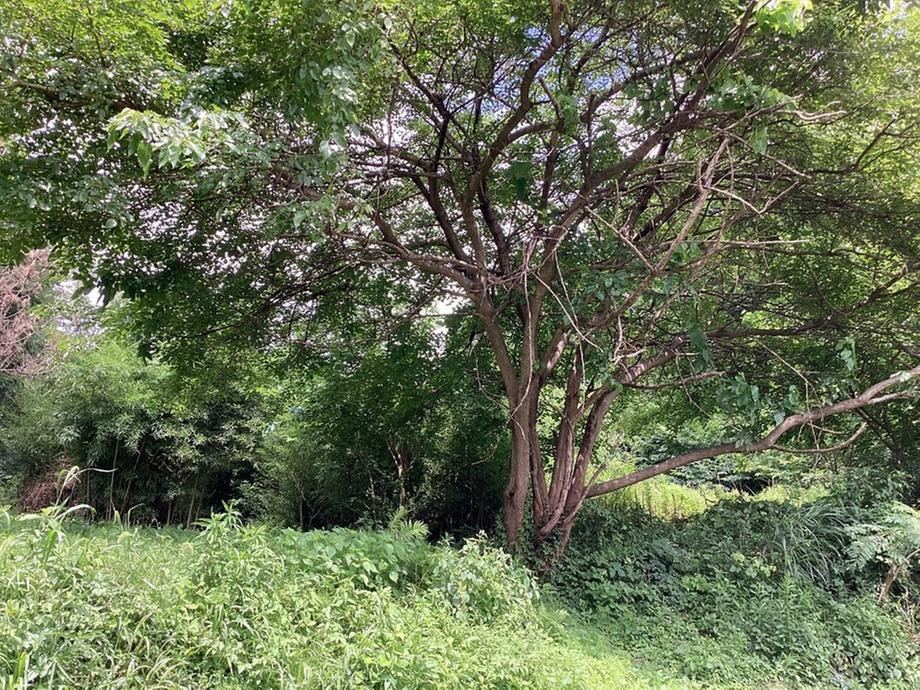 358 m² land in Iwaki, Fukushima - Photo 1