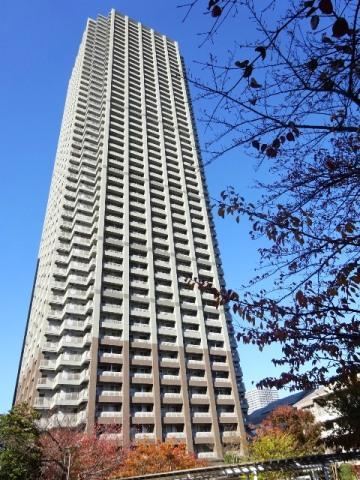 1LDK+S apartment in Chuo Ward, Tokyo - Photo 1