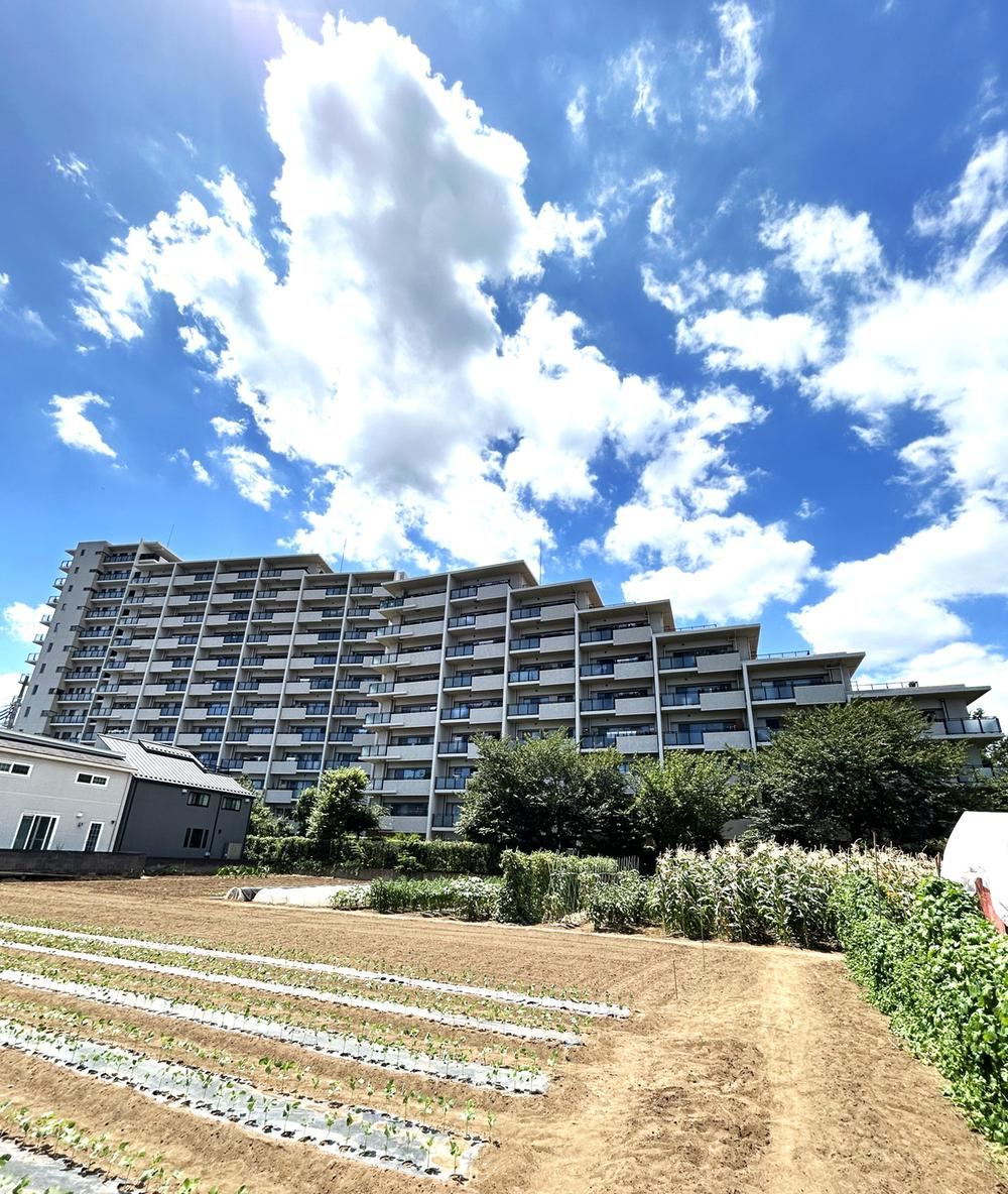 3LDK apartment in Suginami Ward, Tokyo - Photo 1