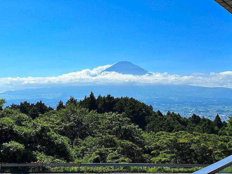 2LDK apartment in Gotemba, Shizuoka - Photo 1