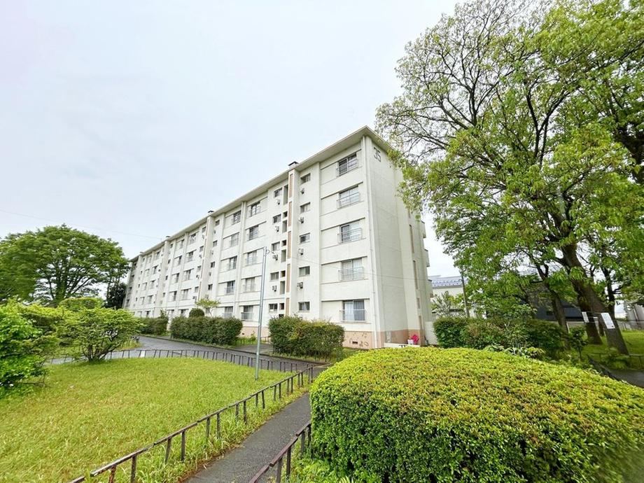 2LDK apartment in Kokubunji, Tokyo - Photo 1