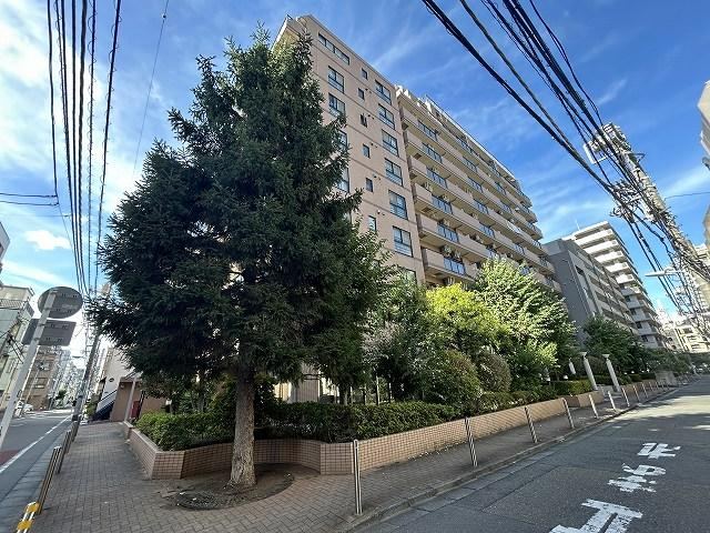 3LDK apartment in Shinagawa Ward, Tokyo - Photo 1