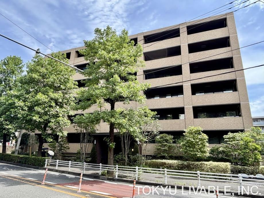 3LDK apartment in Miyamae Ward, Kawasaki, Kanagawa - Photo 1