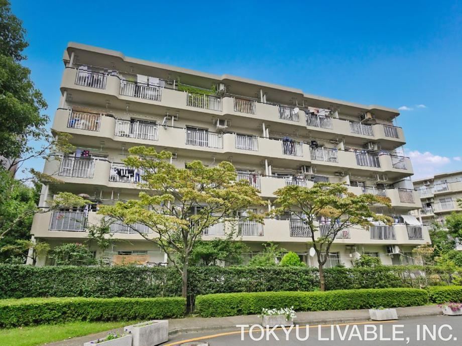 3LDK apartment in Tsuzuki Ward, Yokohama, Kanagawa - Photo 1