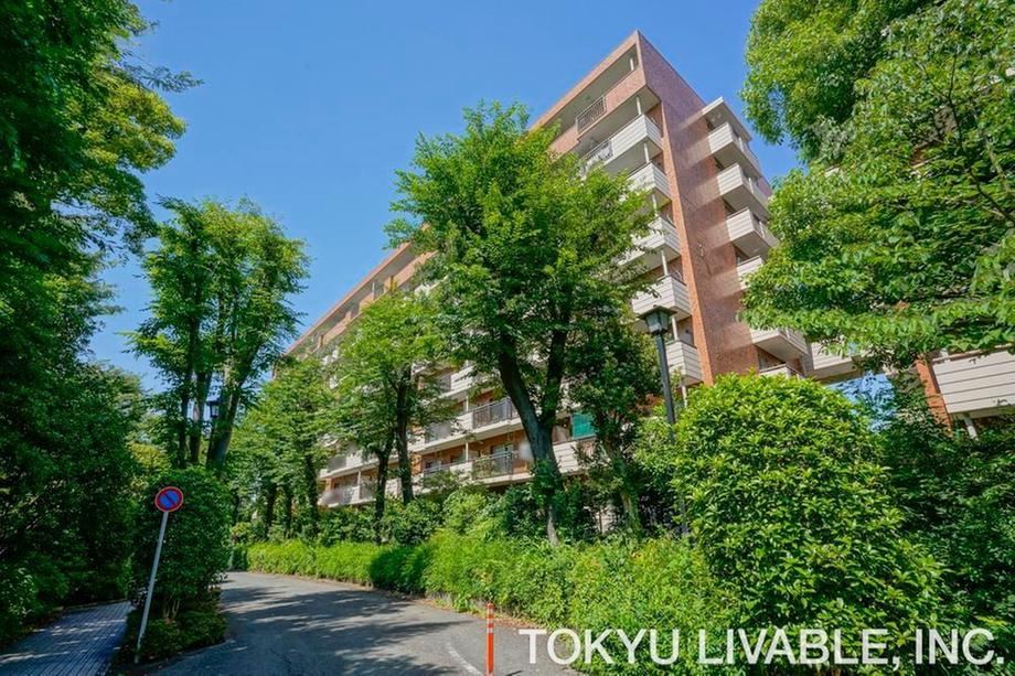 3LDK apartment in Kokubunji, Tokyo - Photo 1