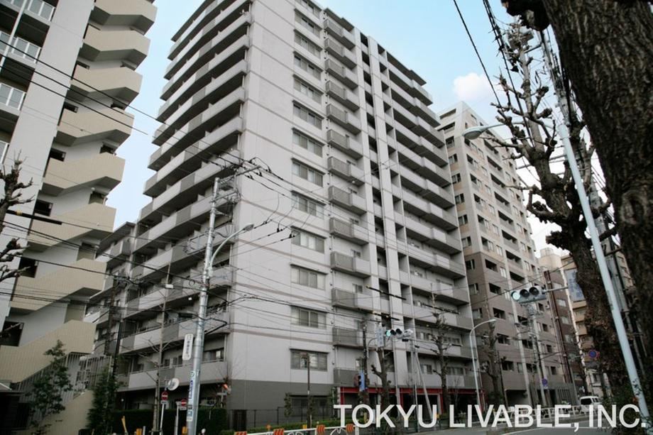3LDK apartment in Bunkyo Ward, Tokyo - Photo 1