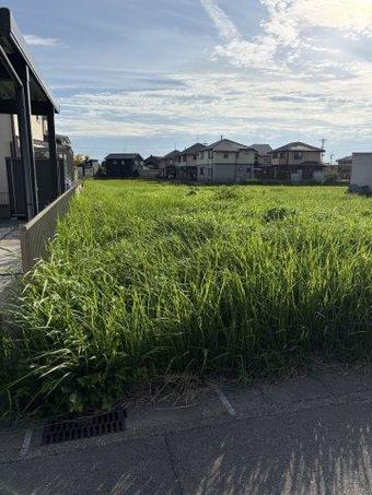 plot of land in Hashima