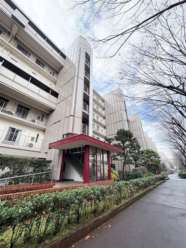 3LDK apartment in Matsudo, Chiba - Photo 1