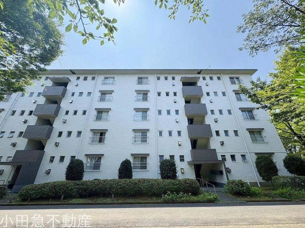 3DK apartment in Tama Ward, Kawasaki, Kanagawa - Photo 1