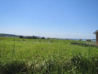 plot of land in Hokota