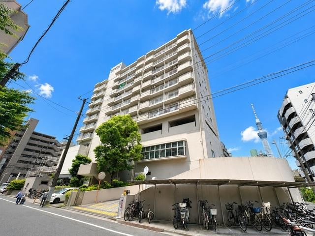 3DK apartment in Sumida Ward, Tokyo - Photo 1