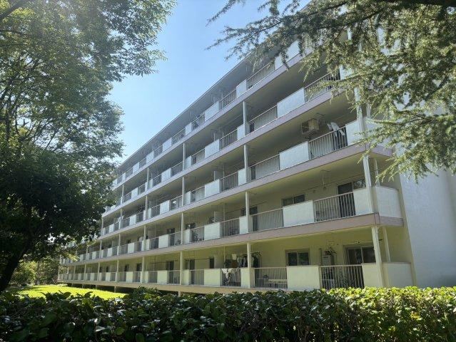 3LDK apartment in Tama Ward, Kawasaki, Kanagawa - Photo 1