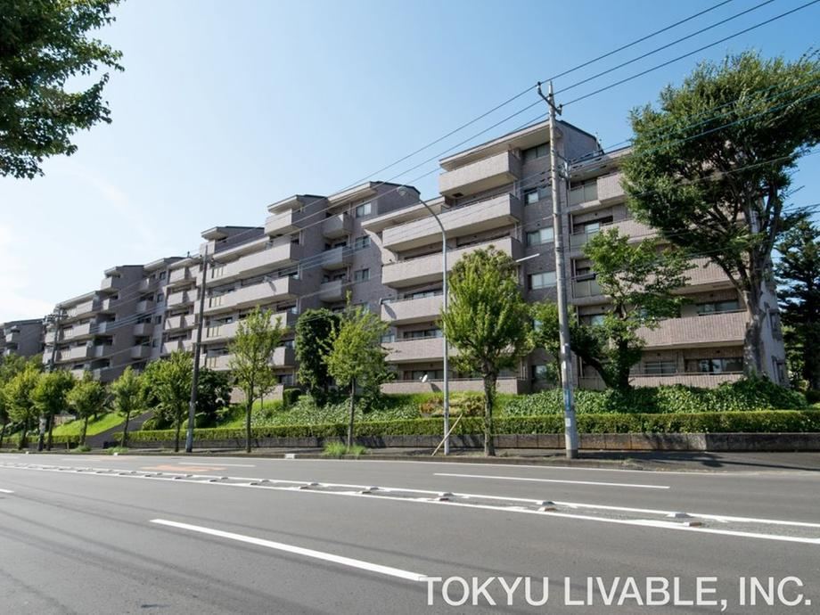 3LDK apartment in Aoba Ward, Yokohama, Kanagawa - Photo 1