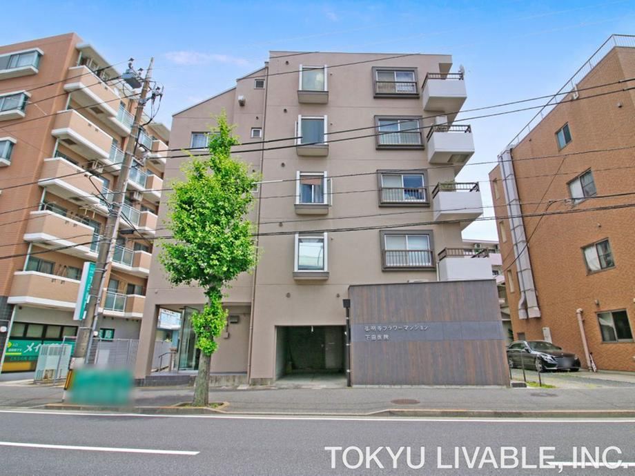 1LDK apartment in Minami Ward, Yokohama, Kanagawa - Photo 1