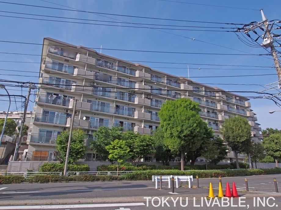 3LDK apartment in Konan Ward, Yokohama, Kanagawa - Photo 1