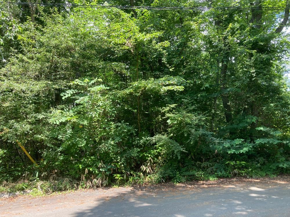 1139 m² land in Karuizawa, Kitasaku District, Nagano - Photo 1