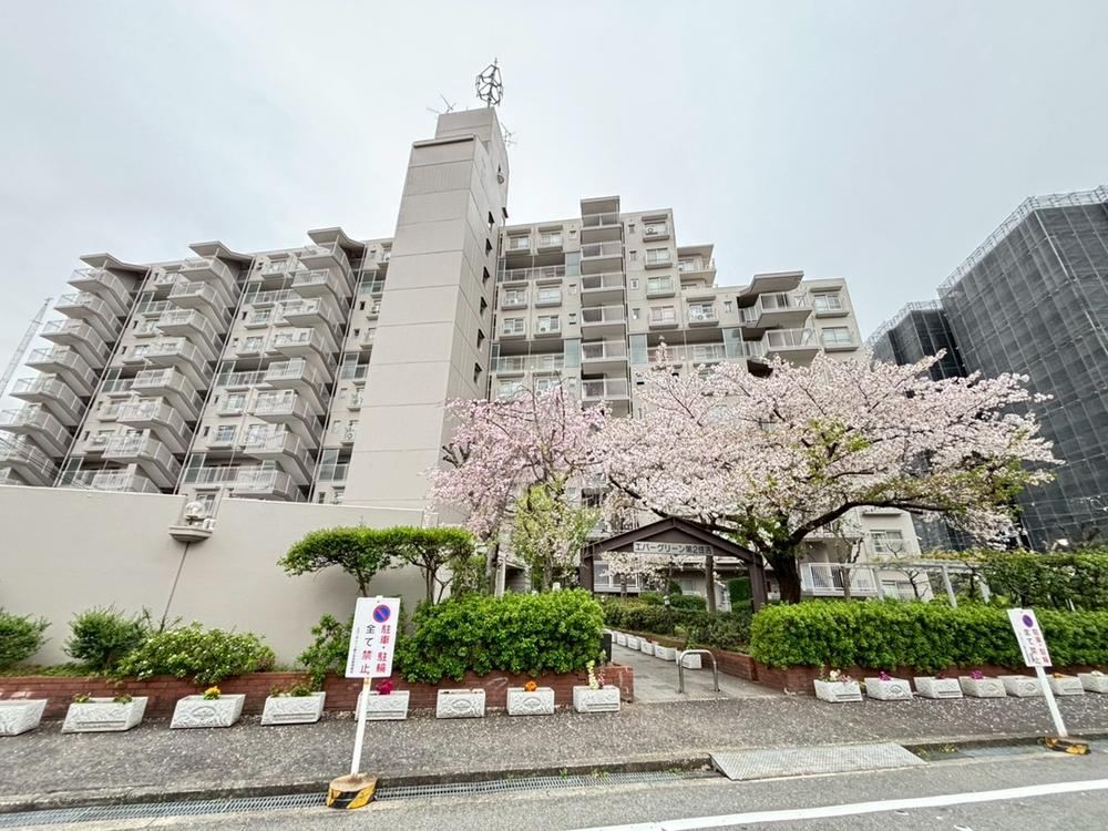 3LDK apartment in Suminoe Ward, Osaka - Photo 1