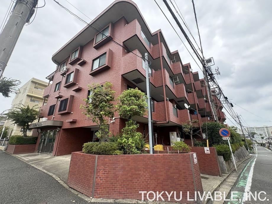3LDK apartment in Fujimi, Saitama - Photo 1