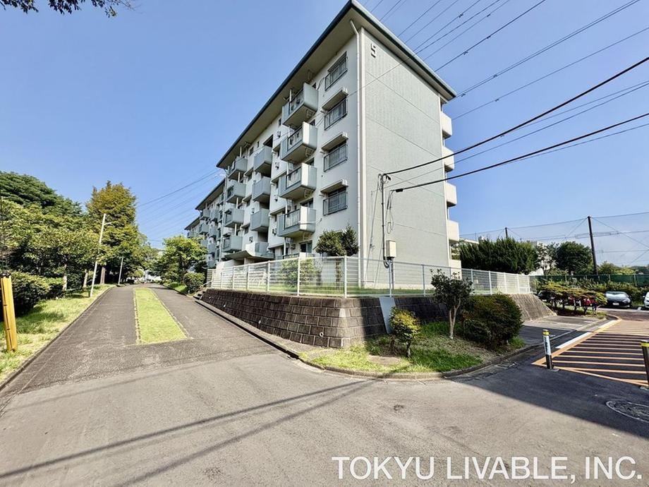 3LDK apartment in Konan Ward, Yokohama, Kanagawa - Photo 1
