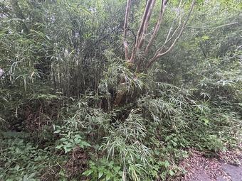 plot of land in Zao, Katta District