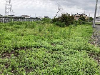 plot of land in Naka