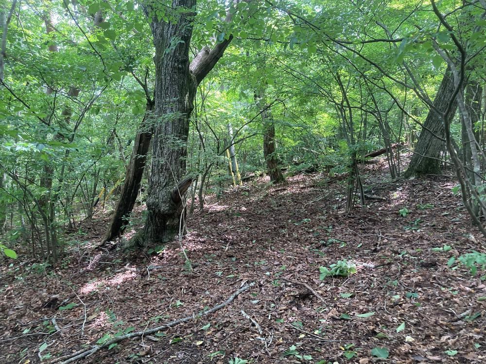 334 m² land in Karuizawa, Kitasaku District, Nagano - Photo 1